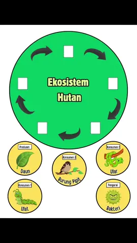 Rantai Makanan IPAS Kelas 5  ✅ Ekosistem Hutan ✅ Ekosistem Sawah ✅ Ekosistem Padang Rumput  ✅ Ekosistem Laut ✅ Ekosistem Sungai #rantaimakanan  #ekosistem #ipas #trendingtiktok #viraltiktok 