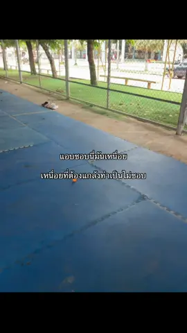 ใช่มั้ยน้ออ#แอบชอบ #เธรดความรู้สึก 