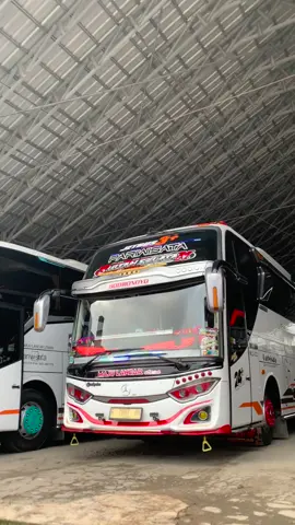mas Joko 