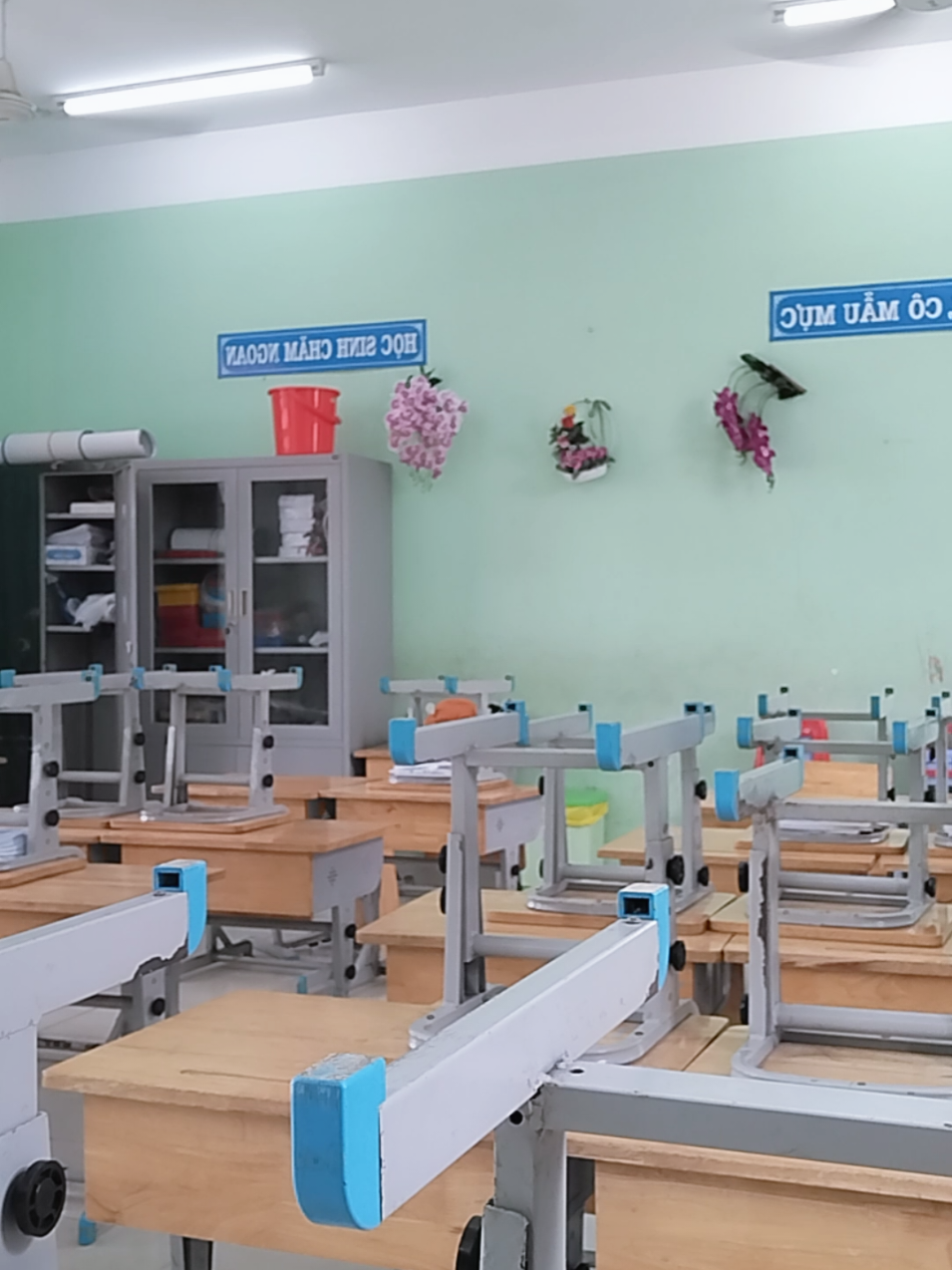 Thủ tục mỗi thứ 6 hàng tuần #chuyennghegiao #dilamcogivui #giaovien #suyngam #xuhuong 