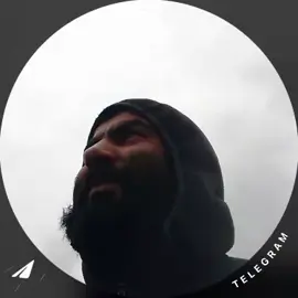 лаванда #вреки 