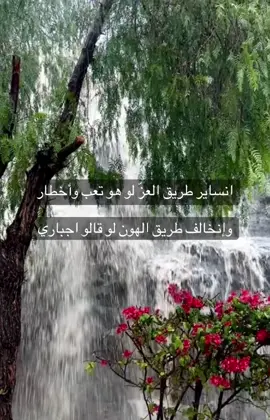 انساير طريق العز لو هو تعب واخطار وانخالف طريق الهون لو قالو اجباري. #اكسبلور_تيك_توك #CapCut #لايك #هشتاق #شعر 