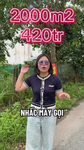 2000m2. 420tr. Lh 09-338-666-19#tphcm #nhàđấthcm #dấtdongnai #đấtthocu #ngộp 