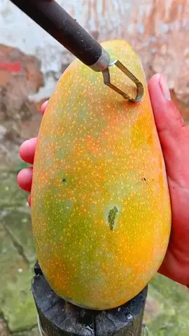 #satisfyingvideo #relaxing #fruits #asmrfood #asmr 