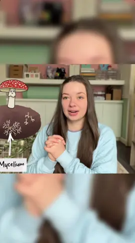 🍄See full video on my YT channel✨link in bio For this video I uncovered a bunch of weird mushroom facts!  I’ve been curious on how mushrooms pop up seemingly out of nowhere, and now I know how they create a secret underground network.  So cool!  This video was honestly so fun to film and edit, as I learned so much.  Eventually I do plan on getting a fairy ring tattoo around my arm because I find them so magical and cute, so stay tuned for that art vlog!  Watch the full video on my YT channel, “Susrooms” #mushroomsociety #fungi #fungilover #fungilove #mushroom   
