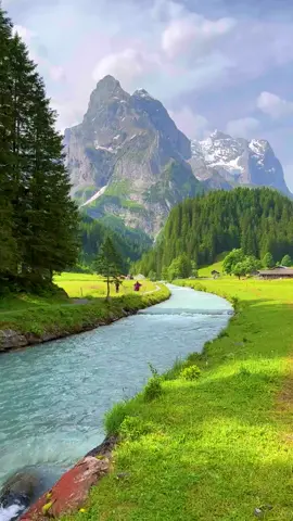 #يوما_ما  #سويسرا #الهجرة_الى_اوروبا🇪🇺 #الطبيعة_وجمالها☘️💛💚 #الشعب_الصيني_ماله_حل😂😂 
