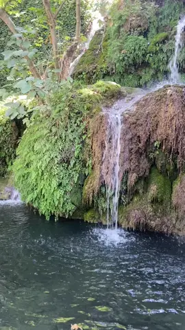 ي والله😂😂