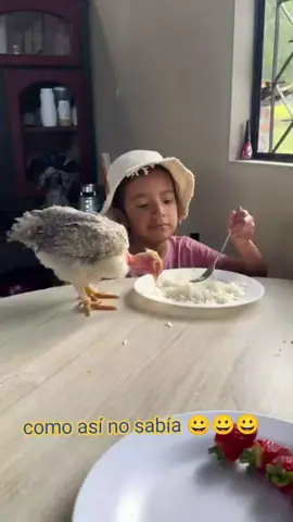 #comiendo  #arrozconpollo #radiocaravanadelperu 