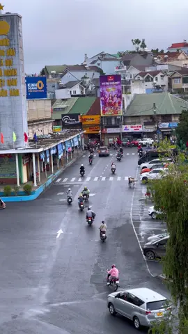Vào ngày Đà Lạt lạnh lẽo thế, có hai trái tim đang ấm dần  📸 Thanh Viet  #dalat #storyofdalat 