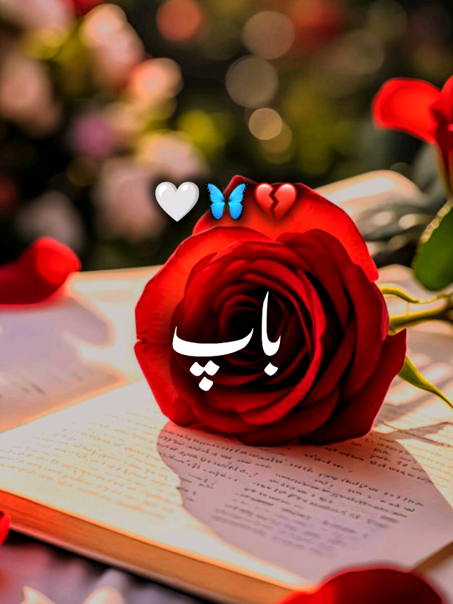 ❥͜͡𝐌𝐮𝐞𝐞𝐧⍟𝐖𝐫𝐢𝐭𝐞𝐫𝐬☙#furyou❥ #pfypシ #furyoupage #furyoupage #vairalvideo 