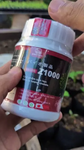 PREMIUM Pupuk Dasshu Z1000 original, takaran / dosis pemakaian untuk pembibitan bisa gunakan satu sendok makan campurkan ke 10 liter air.