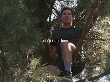 😭 jake on the tree always takes me out // #b99 #brooklyn99 #andysamberg #jakeperalta #captainholt #dougjudy #brooklynninenine 