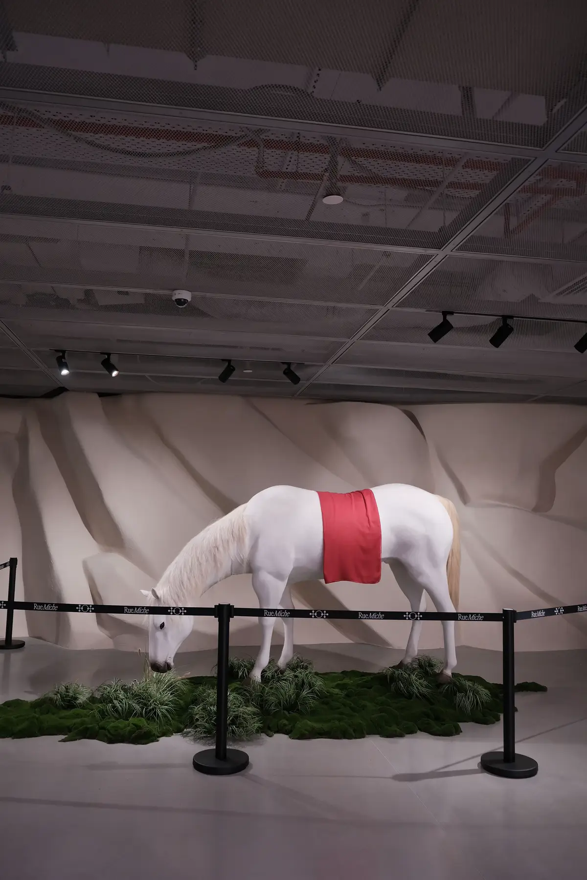 Rue Miche L'edition Unionsquare, SG #ruemiche #fyp #viral #cafe #thoitrang 