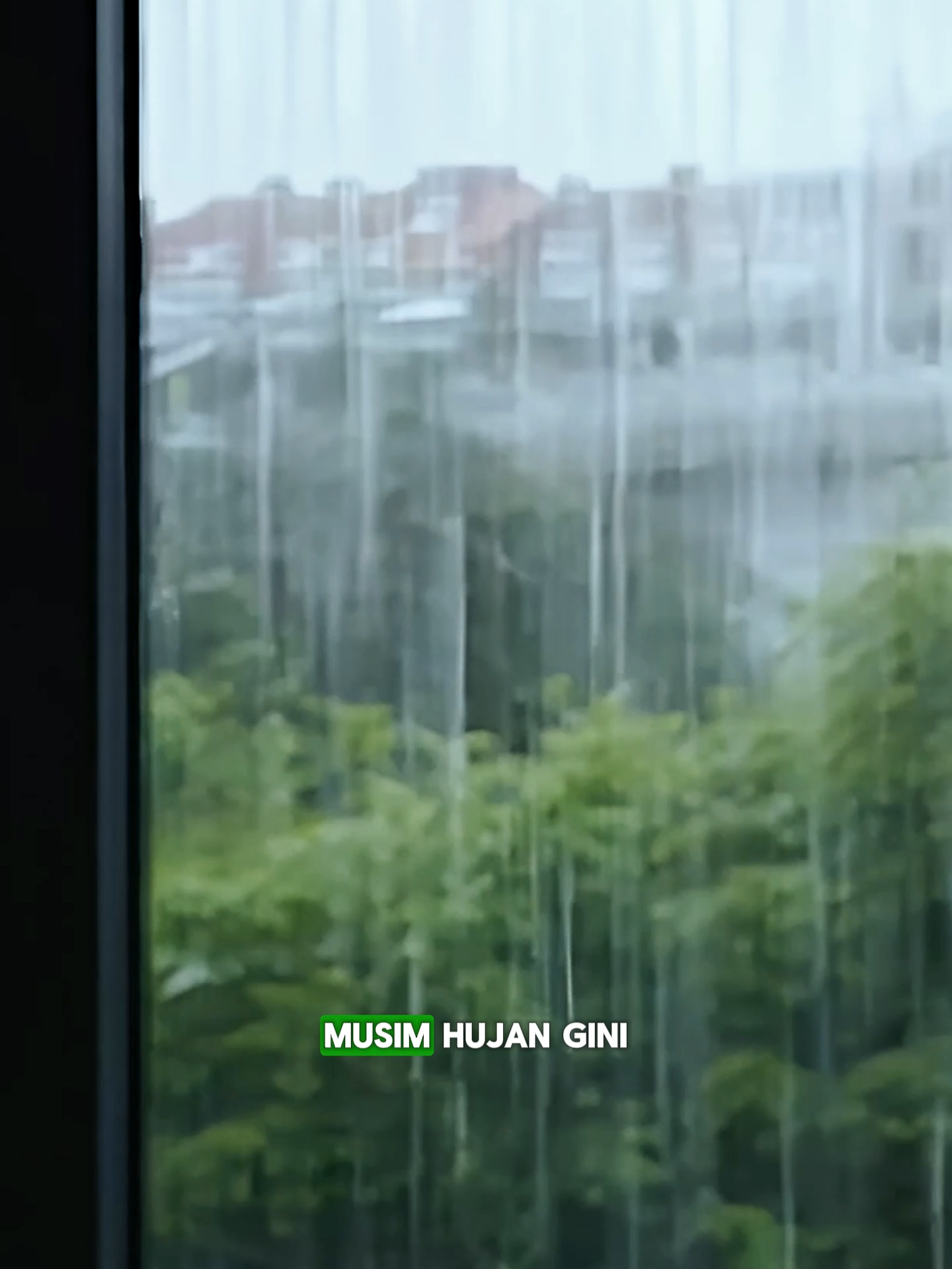 Musim hujan gini, cucian pasti bau apek karena ga kering😭 Yuk pakai Dettol Propod aga cucian wangi seharian🥰 #dettol #dettolindonesia #fyp #newproduct #launching #laundry #cucibersih #propod #dettolpropod