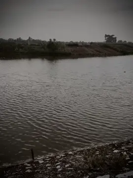 Phần 25 #virall #viraltiktok 