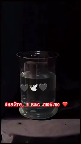 #ВэтотДень мне достаточно, что вы просто есть ❤️🫂🥰🤗@💞🧿 Юлия 🧿💞 @꧁🔸️☪️𝑰𝒔𝒍𝒂𝒎☪️🔸️꧂ @👑Humaira🦋 
