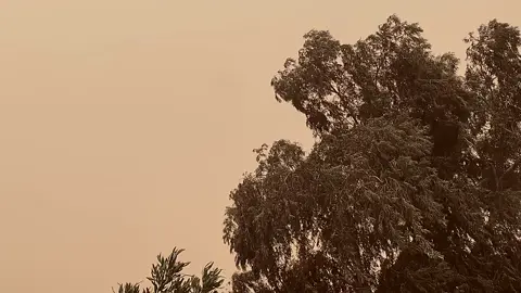 #شمسين_محمدعبدالجبار #خلودي_العطيه #عباراتكم_الفخمه📿📌 #شعراء_وذواقين_الشعر_الشعبي🎸 #عباراتكم💔💔؟ 