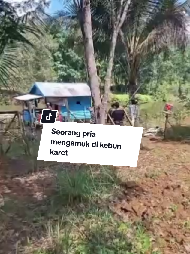 Kapolsek Batulicin, Iptu Kusnin, membenarkan kabar mengamuknya seorang pria di area kebun karet di Gunung Tinggi. Ia mengatakan pelaku sudah diamankan di Mapolsek untuk ditindaklanjuti. “ Dari pengakuan sementara, si pelaku ini mengaku hasil sadap karetnya selalu kurang dan ada yang hilang, jadi marah kepada siapapun yang lewat mengira orang yang mengambil hasil sadapan karetnya. Nah disisi lain, ada sejumlah keterangan bahwa si pelaku ini ada kelainan ODGJ,” kata Kusnin.Copas#