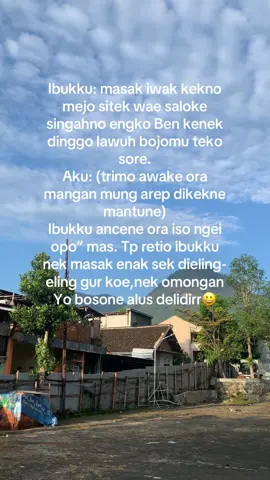 Laki-laki tinggal dirumah mertua bisa jadi raja😄