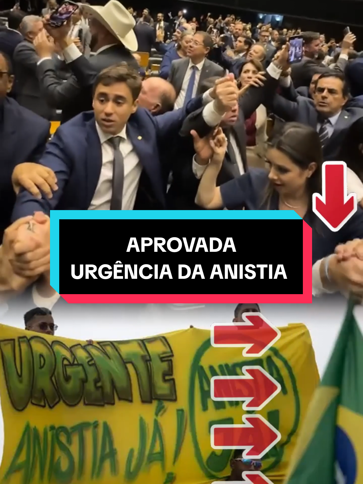 Anistia é como um perdão que o governo dá para pessoas que fizeram algo errado (nesse caso que foram perseguidas e julgadas injustamente), principalmente em casos políticos. Quando isso acontece, é como se a punição e as consequências desaparecessem. Normalmente, a anistia serve para ajudar o país a ficar em paz. Recentemente a Câmara dos Deputados aprovou que a anistia seja tratada com urgência, ou seja, o projeto vai andar mais rápido e ser votado antes de outros assuntos, sem precisar passar por todas as etapas normais de discussão. #anistia #direita #patriotas #bolsonaro #creatorsearchinsights 