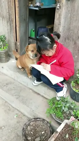 #粉丝一千万#dog#foryou#viral#fyp 