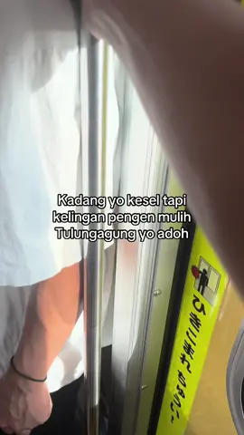 Kangen kopag kro cahcah#トクトクSALE #kenshuseijapan🇮🇩🇯🇵🎌 #tulungagung24jam #pmijapan🇯🇵 #jeksoromase 