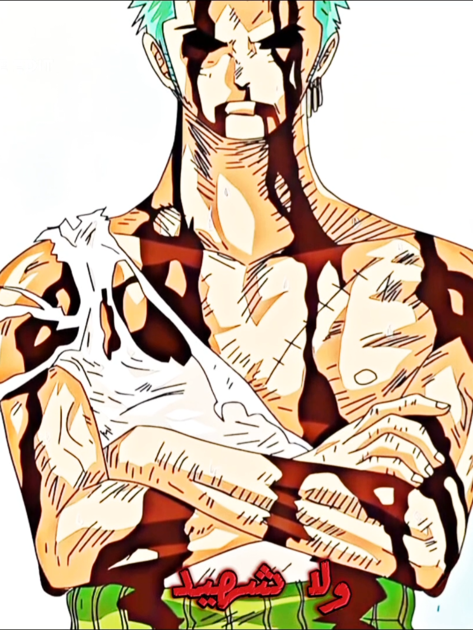 طلبتوا ع ذي الأغنيه  #onepiece #onepieceedit #luffyonepiece #zoro #explore 