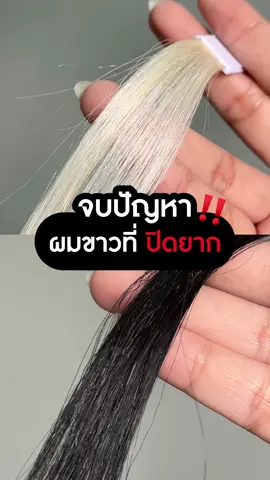 หงอกเยอะ ปิดยาก ไม่ต้องเครียด ลองใช้ ปิดผมขาวของไลโอ ดูก่อน #แชมพูปิดผมขาวไลโอ #ย้อมผมเอง #สีผม #ผมหงอก #ผมขาว 