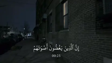 الحجرات - #عبدالرحمن_مسعد 