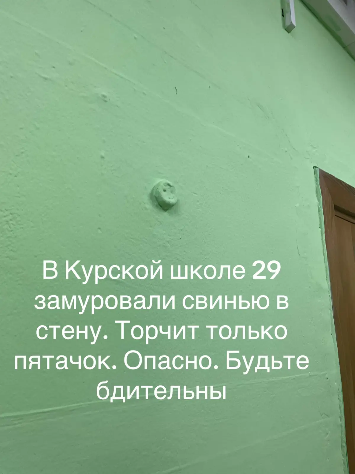 Свинья — одно из древнейших домашних животных, сыгравшее огромную роль в развитии сельского хозяйства, культуры и даже символики разных народов. На первый взгляд это простое животное, связанное в первую очередь с мясной продукцией. Но если углубиться, окажется, что свинья имеет богатую биологическую и культурную историю. Она воплощает собой целый пласт человеческой цивилизации: от первых земледельцев, которые приручили кабана, до современных технологий животноводства, а также до символических и даже философских образов. ⸻ Биологическая характеристика Свинья (лат. Sus scrofa domesticus) является подвидом дикого кабана (Sus scrofa), принадлежащего к семейству свиных. Это млекопитающее из отряда парнокопытных. У свиней крепкое тело с короткими ногами, вытянутой мордой и характерным пятачком — своеобразным органом осязания и рытья почвы. Свиньи отличаются высокой плодовитостью: самка может приносить 10–15 поросят за один опорос, что делает их крайне выгодными для сельского хозяйства. Они всеядны и способны перерабатывать самые разные виды пищи — от корнеплодов до остатков человеческой еды. Именно всеядность и неприхотливость стали ключевыми факторами, благодаря которым люди начали активно разводить этих животных. Свиньи обладают высоким интеллектом. Современные исследования показывают, что они способны обучаться, запоминать маршруты, различать людей и даже решать простые логические задачи. Некоторые ученые ставят свиней на один уровень с собаками и дельфинами по уровню умственных способностей. ⸻ История одомашнивания Одомашнивание свиней началось около 9–10 тысяч лет назад в разных регионах мира. Археологические находки подтверждают, что в Месопотамии, Китае и Юго-Восточной Азии люди независимо друг от друга приручили дикого кабана. Свиньи сопровождали человека на протяжении всех этапов истории: их разводили в античности, о них писали древнегреческие и римские авторы. В Китае свинья настолько прочно вошла в быт, что стала одним из знаков восточного зодиака. В Европе же свиноводство всегда играло ключевую роль в обеспечении населения мясом. На Руси свинья считалась «крестьянским животным». Ее держали почти в каждом дворе, потому что прокормить свинью было проще, чем крупный рогатый скот: она могла питаться отходами, желудями, картофельными очистками. ⸻ Хозяйственное значение Главное значение свиньи — мясо. Свинина является одним из самых употребляемых видов мяса в мире. Из нее готовят бесчисленное количество блюд: от простых домашних котлет до изысканных кулинарных деликатесов вроде хамона или прошутто. Кроме мяса, от свиней получают: 	•	сало, используемое в кулинарии и переработке; 	•	кожу, которая служит сырьем для обуви, одежды и аксессуаров; 	•	щетину, из которой делают кисти и щетки; 	•	внутренние органы, применяемые в фармацевтике и медицине (например, сердечные клапаны свиней используют при трансплантации человеку). Таким образом, свинья — универсальное животное, почти полностью используемое человеком. Культурные образы Свинья занимает особое место в мифах, религиях и символике. 	1.	В восточной культуре В китайском календаре свинья символизирует богатство, изобилие и мирную жизнь. Родившиеся в год свиньи считаются добрыми, честными и немного наивными людьми. 	2.	В античности Свиньи часто приносились в жертву богам, особенно связанным с землей и плодородием. В Древней Греции их считали священными животными Деметры. 	3.	В христианстве и исламе Здесь свинья ассоциируется с нечистотой. В Библии и Коране мясо свиньи запрещено к употреблению. Запрет связан как с санитарными соображениями (опасность болезней), так и с культурными символами. 	4.	В европейском фольклоре Свинья часто олицетворяет жадность, неаккуратность или глупость. Однако одновременно она символизирует плодородие и домашний достаток. ⸻ Свинья в языке и пословицах Во многих языках свинья стала источником метафор и поговорок. В русском языке мы говорим «как свинья» о неопрятном человеке, «подложить свинью» — о предательстве, «свинья везде грязь найдет» — о склонности искать плохое.