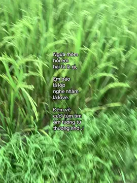 #hoanghaihaysuy #luxuryxuhuong 