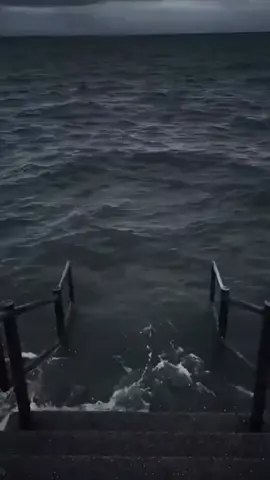 #memes #funny #trend #meme_on_mars 