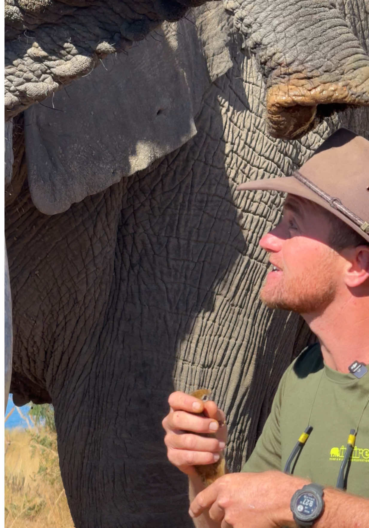 The giant elephant and the baby squirrel - always fun and games! 🐘🐿️#fyp #reels #reillytravers #funny #wildlife 