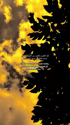 #quotesislami #syaircinta #langitaesthetic #xybca #masukberandamuu 