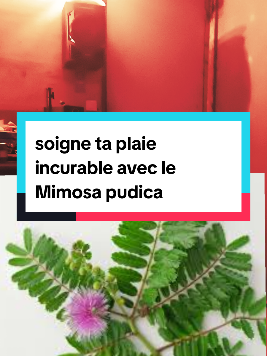 #plaieincurable #negueripas #bobo #cicatrisation #LIVEIncentiveProgram 