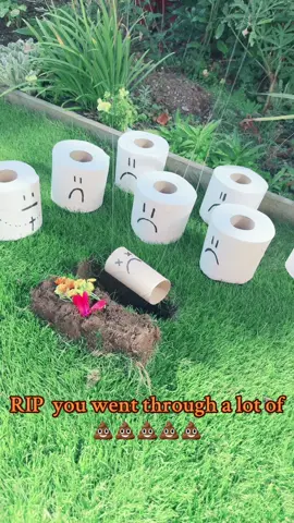 #death#sad#toiletroll #burial #funny