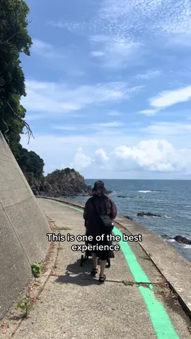 A meal with the Ama isn’t just food — it’s living history. 📍 Location: Ise–Shima, Mie (about 2 hours from Nagoya by car) 📅 Available year-round (advance booking required) 📩 DM us @hippo.travel.japan or click the link in bio to reserve your Ama Hut Experience #japan #japantrip #japantravel #japantour #nagoya 