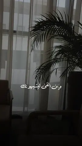 #وين_الكة_الي_يشبهونك #ايران 