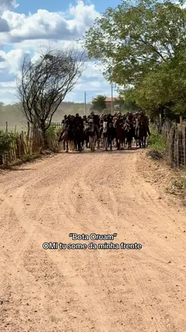 #pegadeboinomato #vaquejada 