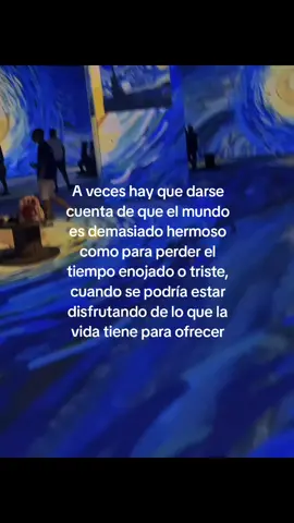 A veces hay que darse cuenta de que el mundo es demasiado hermoso como para perder el tiempo enojado o triste, cuando se podría estar disfrutando de lo que la vida tiene para ofrecer... . . . . . . . . . . . . . . . #Love #lanocheestrellada #escritos #textos #vangogh 