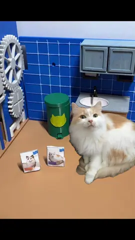Need cat food? Make it for your own cat. #miniature #diorama  #cat #catfood