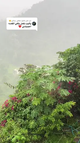 الرد على @مكتفي  بحالي 🙂  قصه يوسف عليه السلام #اللهم_صل_على_محمد_وآل_محمد #