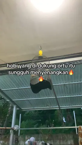 menyalaa wiii🔥🤭#fyp #lewatberanda #kapastembak #foryou #kicaumania
