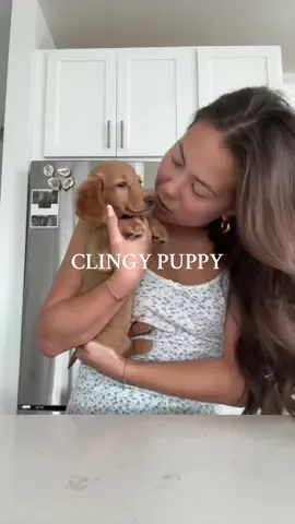 at least he knows what he wants @Jolly Ollie 