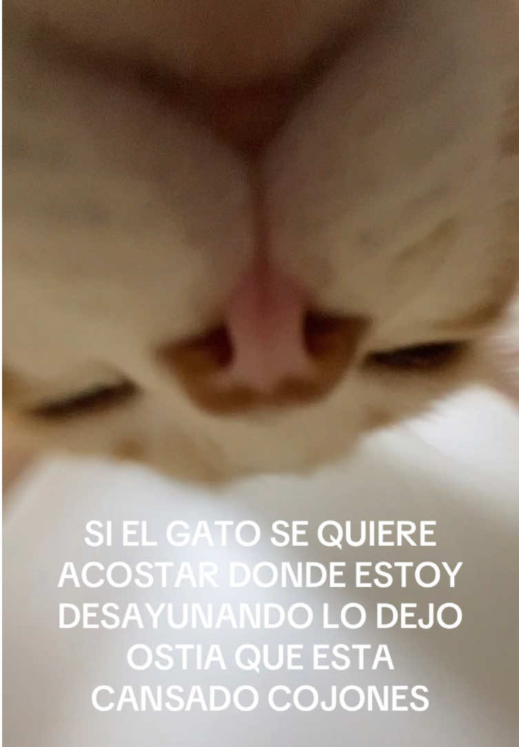 #victor 