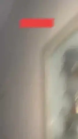 ###@کنگ گروپ ملکوال الے🦁 @🦅 باز گروپ ملکوال آلہ 🦅 @کنگ گروپ ملکوال الے🦁 