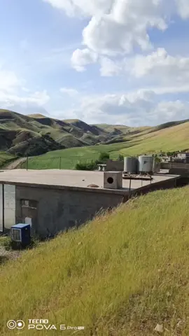 #جەرداسنە #هارونی #وەتەنەکەم💚🧿 #لایکوو_فۆلۆم_بکەن_بۆ_بەردەوام_بوون #متابعه_ولايك_واكسبلور_احبكم 