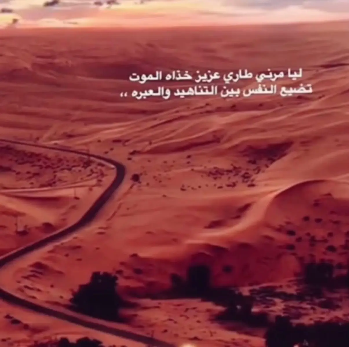 . #الحارثي#خباش#الحصينيه#هلي#هليات#نجران#نجران_الان#الهمامي#ميحد_حمد#محمد_حمود_الحارثي#المندق#خشم_العان#عيسى_الاحسائي#يمني#الوديعه#شروره#بدون_حقوق#العريسه#المشعليه#سلطانه#الربع_الخالي#اليمن#اكسبلور_explore#تماني#الرمله#ايوب_طارش#هليات#بدون_حقوق#خشم_العان #نجران_الآن#الماجود