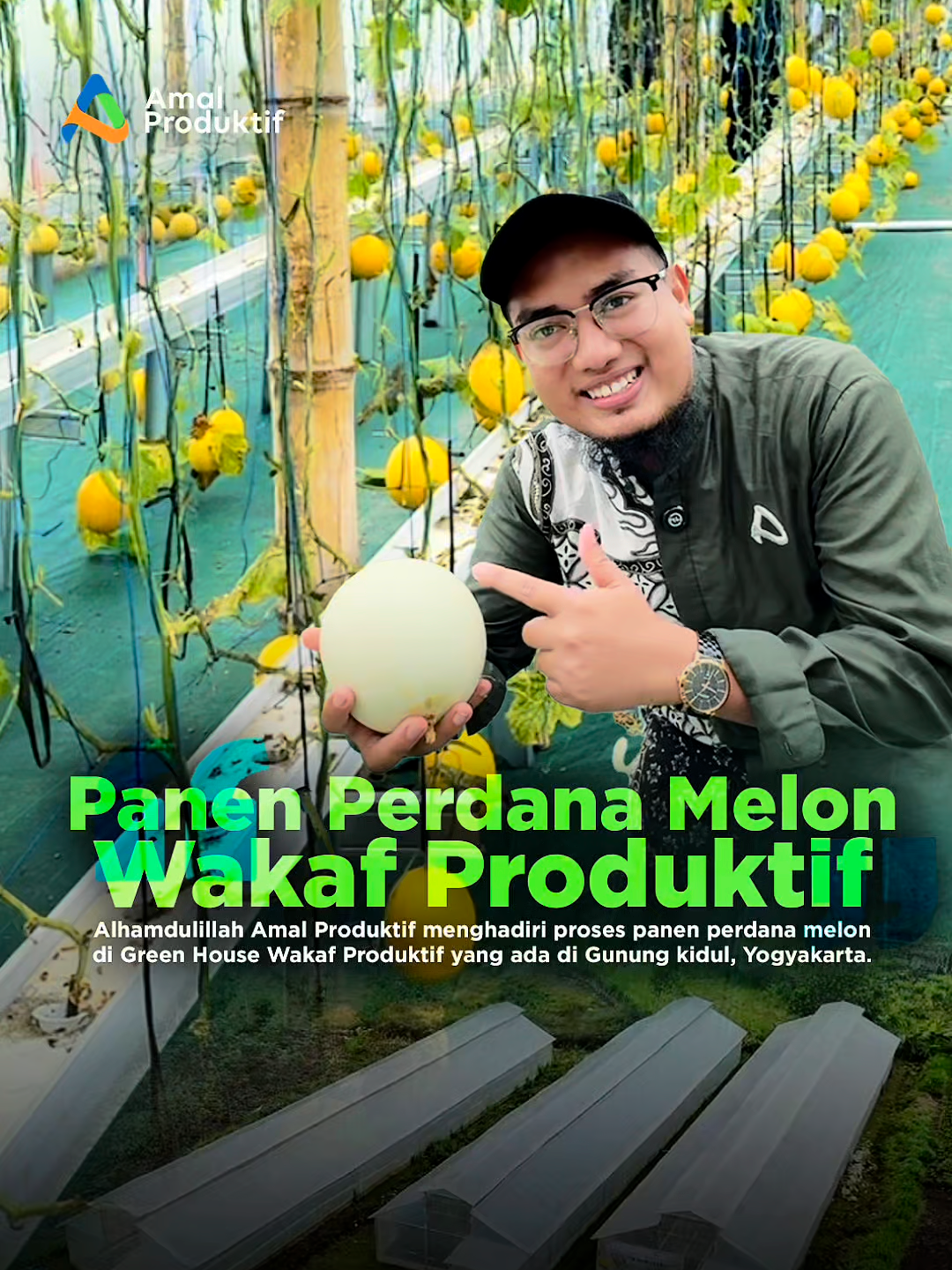 Alhamdulillah tim Amal Produktif menghadiri panen perdana melon di Green house wakaf produktif di Gunung kidul, Yogyakarta. disini kita akan melaksanakan monitoring dan evaluasi dari proses budidaya melon yang insyaAllah dari hasil panen ini akan digunakan untuk mendukung program-program sosial lainnya terimakasih untuk para sahabat yang sudah mendukung berjalannya semua proses di Green house wakaf produktif ini, semoga Allah lipat gandakan setiap amal kebaikannya Sahabat dukung terus perjuangan kami, dengan berdonasi melalui: ✅ BSI : 7555552698 ✅ Muamalat 1010137934 📌 A.n. Yayasan Amal Produktif Indonesia (termasuk operasional Nazhir) 📞 Konfirmasi Donasi: •⁠ ⁠0822-9597-5445 (Admin Rangga) #wakafproduktif #wakaf #melon