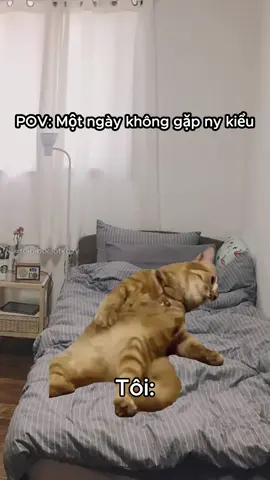 Thiếu hơi ny :)) #kozyfashion #memes 